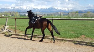 Stanley, off the track